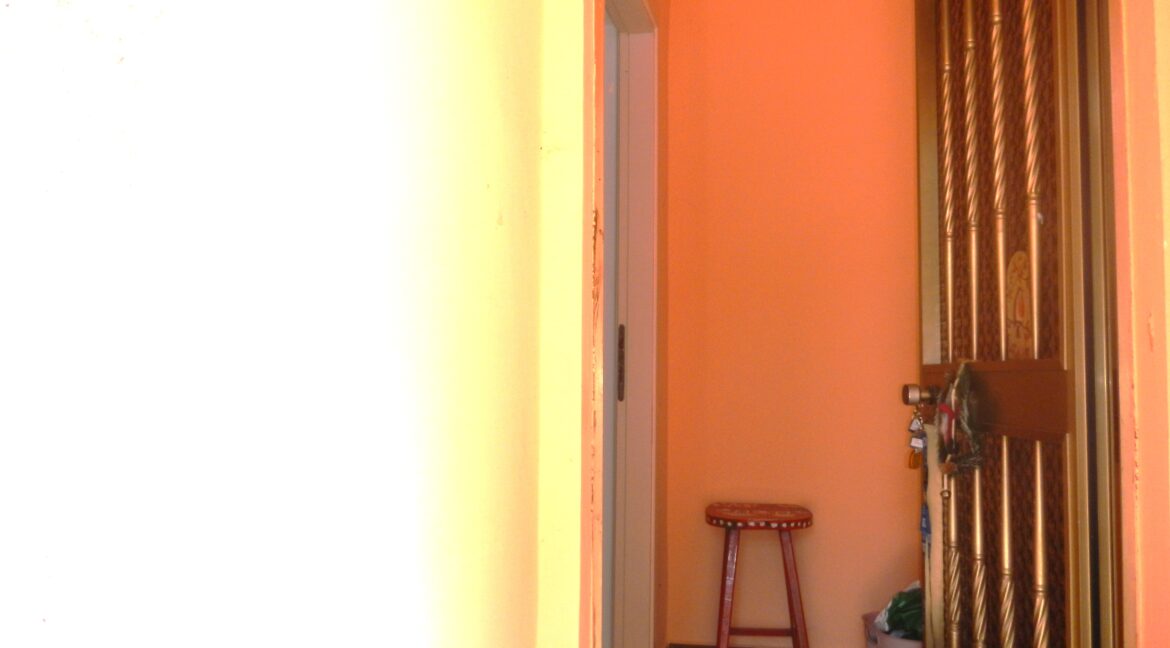 DSCN5518