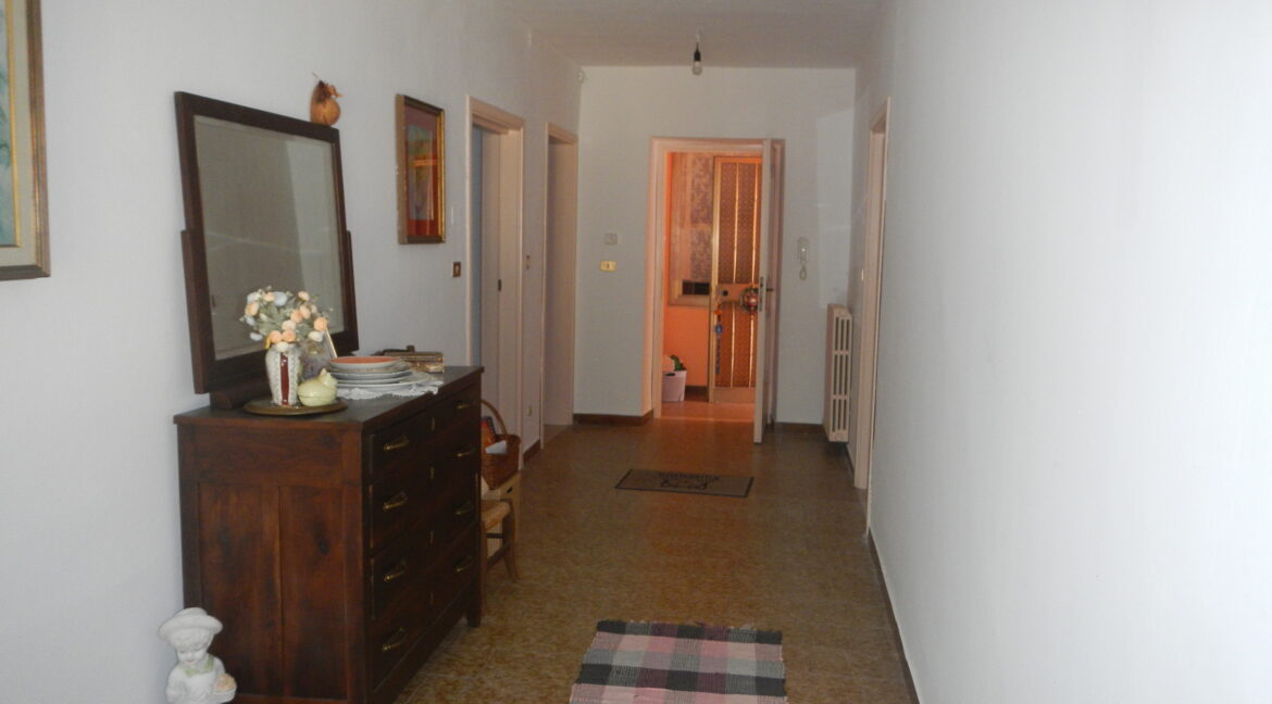 DSCN5538