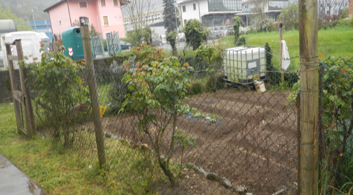 DSCN9889