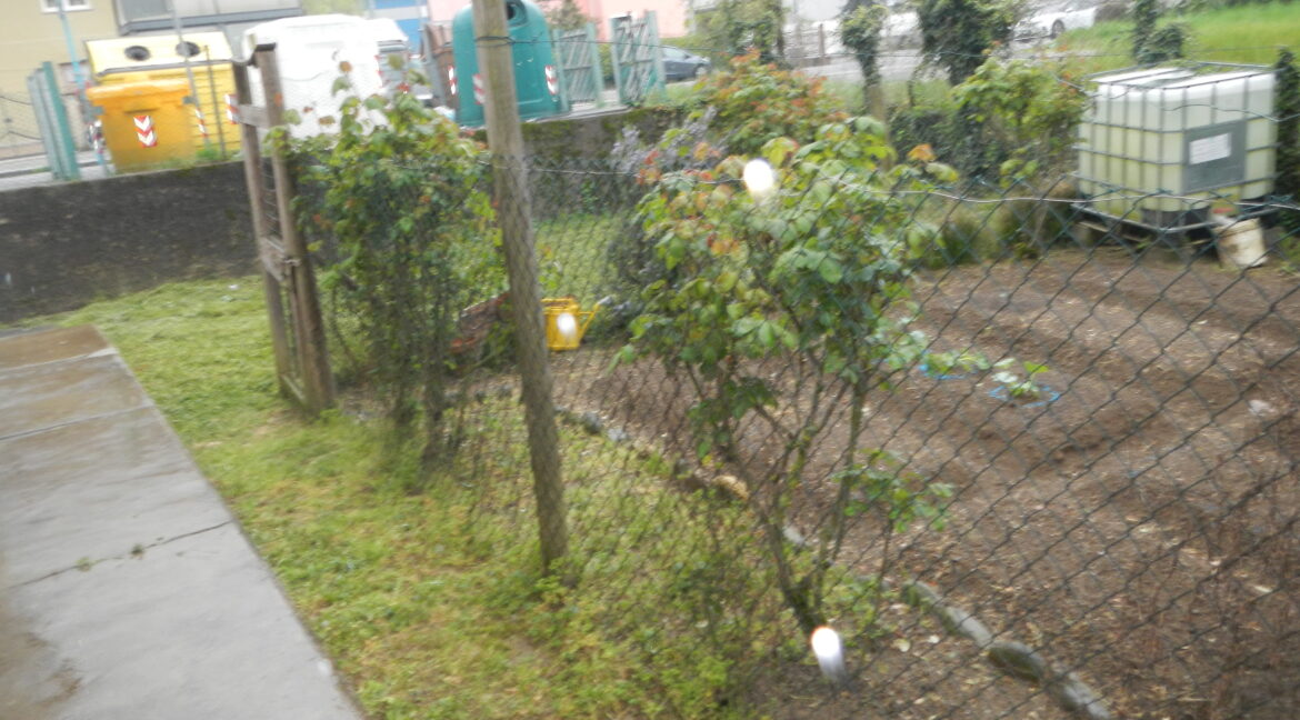 DSCN9891