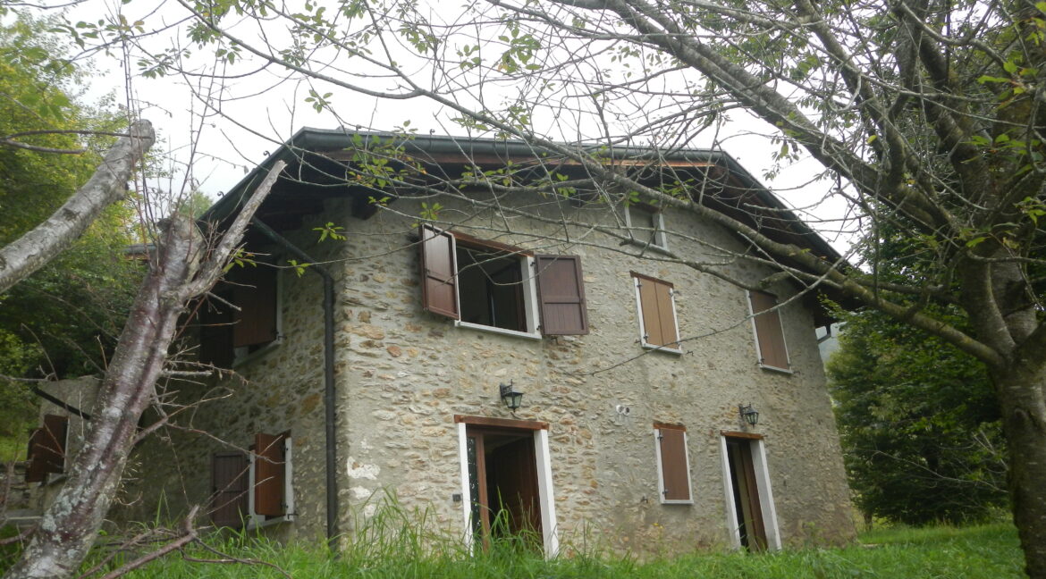 DSCN0630