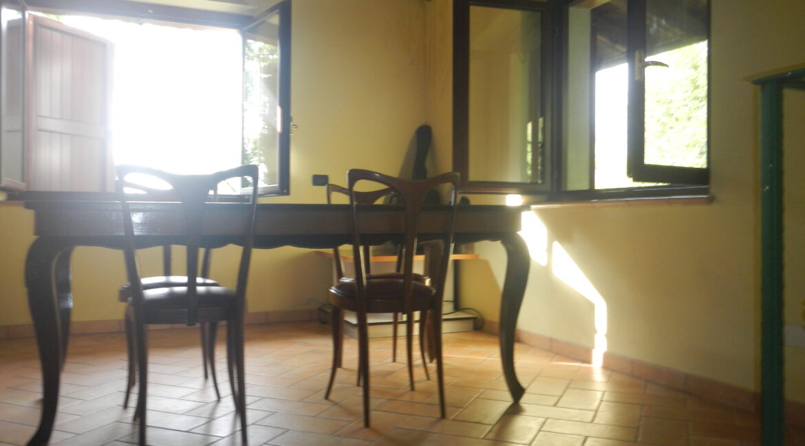 DSCN0650
