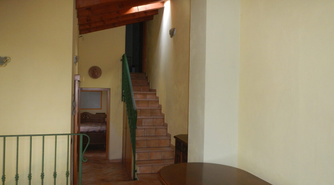 DSCN0652