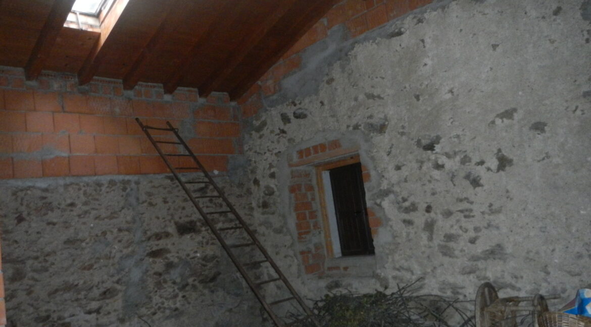 DSCN0685