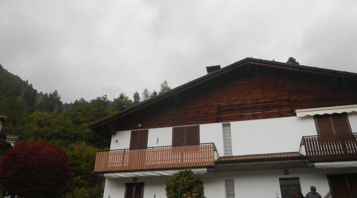 DSCN0753