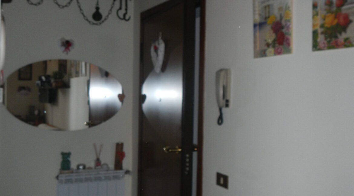 DSCN0770