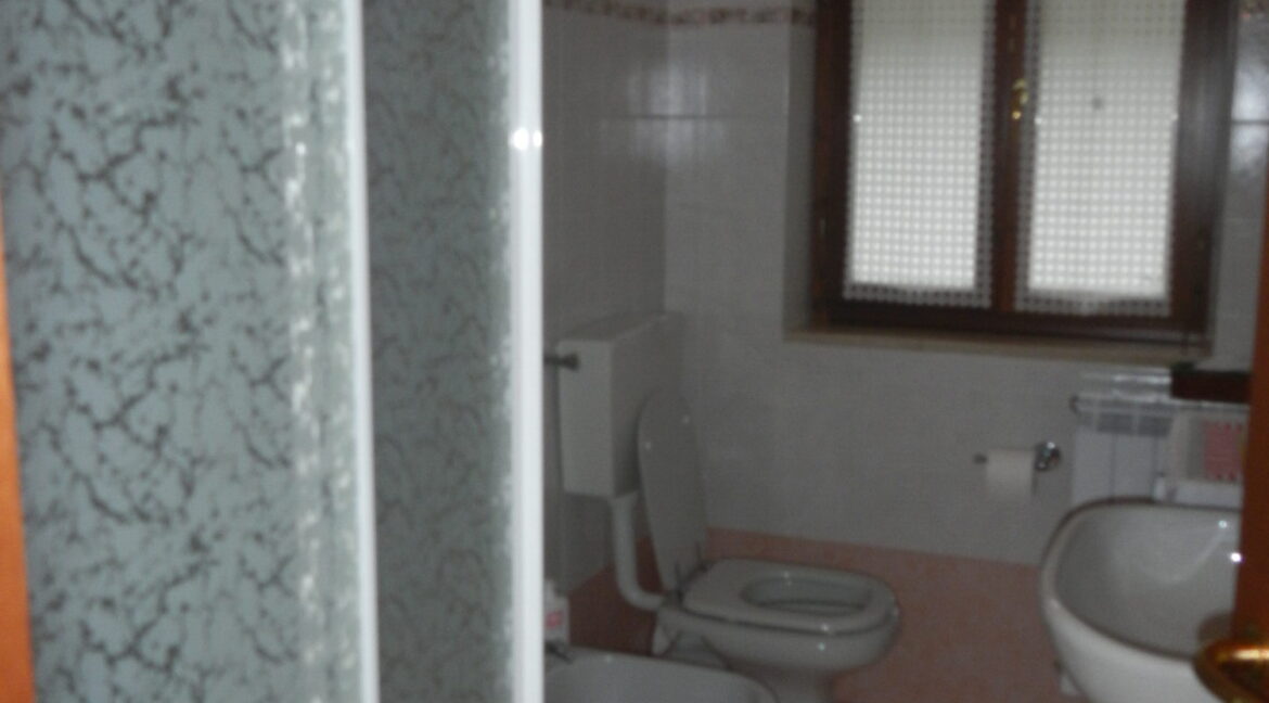 DSCN0782