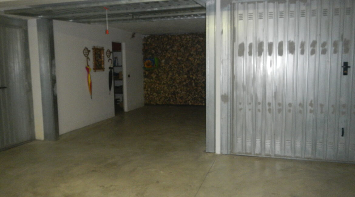 DSCN0795