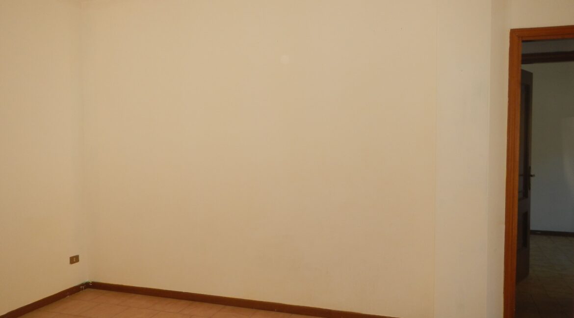 DSCN5086