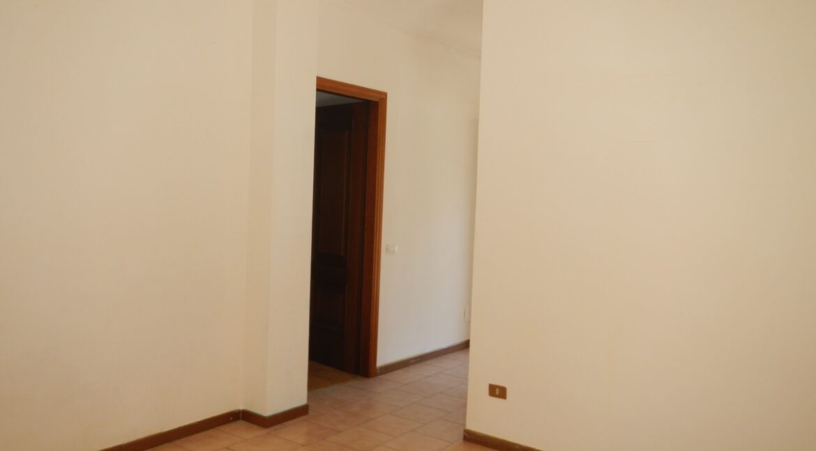 DSCN5087